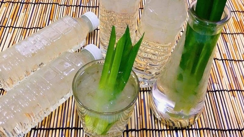 Nước nha đam đường phèn lá dứa mát lạnh giải nhiệt ngày hè