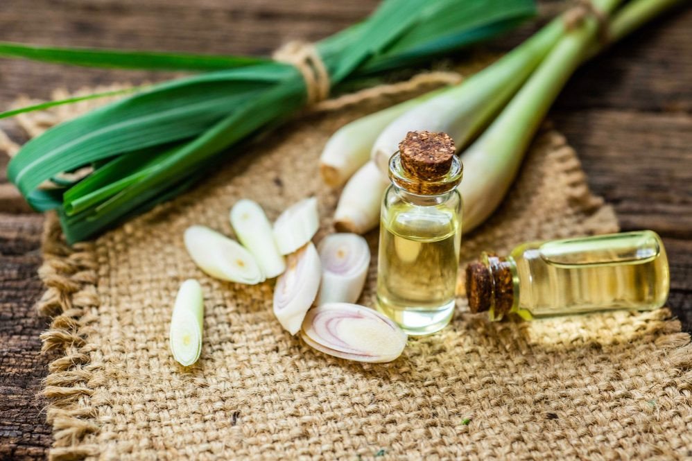 Nước sả thơm mát chứa nhiều chất chống oxy hóa