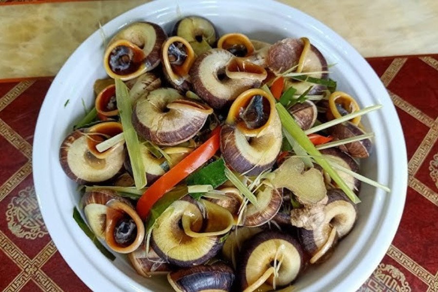 Ốc đá núi hấp gừng sả thơm nồng dễ ăn