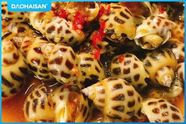 Ốc hương tươi ngon