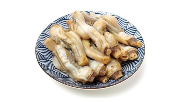 Ốc Móng Tay Bao Nhiêu Calo? Phân Tích Dinh Dưỡng Từ A Đến Z Ốc móng tay tươi sống được đặt trên đĩa, minh họa cho việc tìm hiểu hàm lượng calo trước khi chế biến.