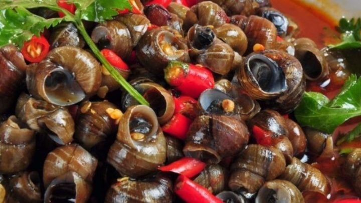 Cách Xào Ốc Ngon Chuẩn Vị, Thơm Lừng Mâm Cơm Việt Ốc vặn xào sả ớt