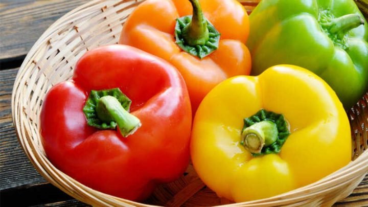 Ớt socola và các loại ớt chuông ngọt đầy màu sắc