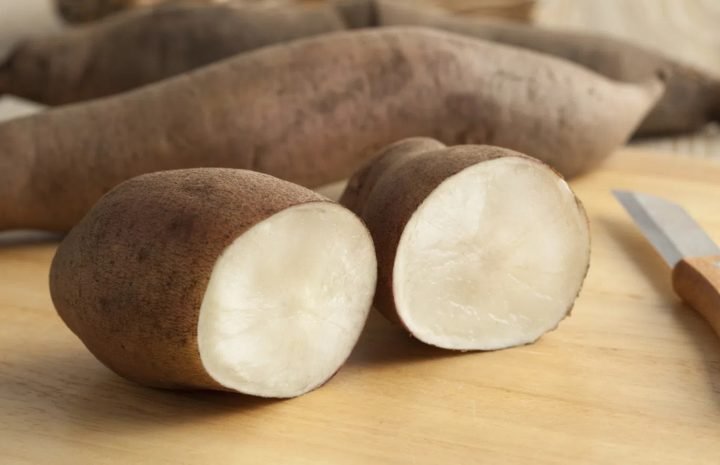 Phân tích sâm đất bao nhiêu calo trong 100g tươi và khi bảo quản