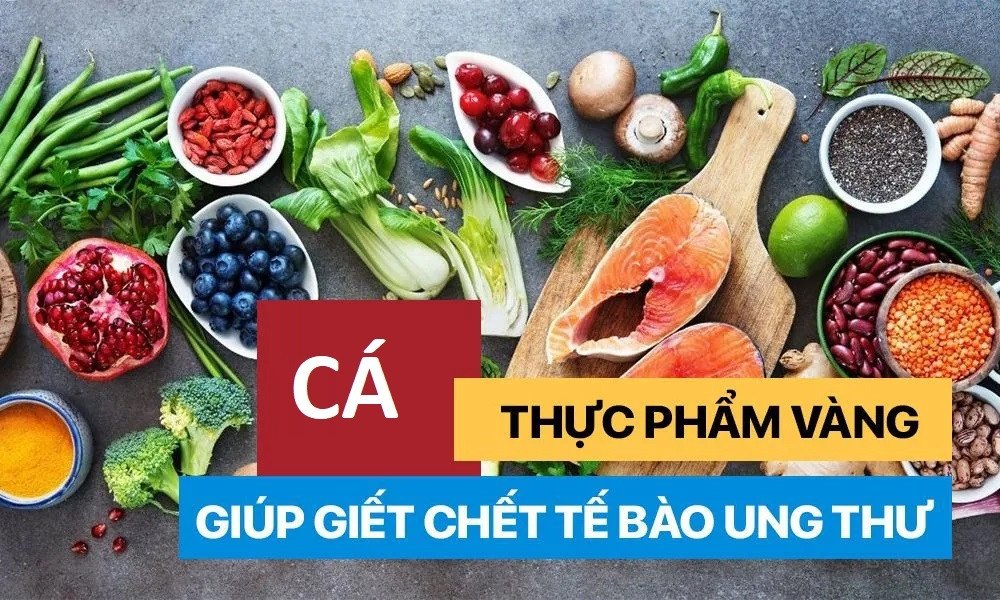 Phòng chống ung thư nhờ hoạt chất trong cá