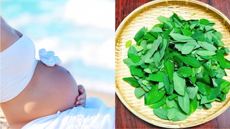 Phụ nữ mang thai không nên ăn rau ngót