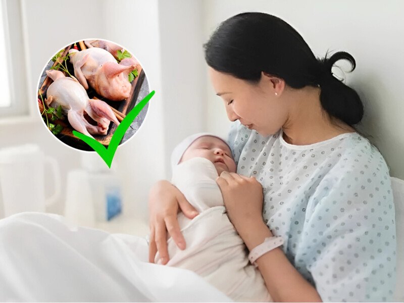 Phụ nữ sau sinh ăn cháo chim bồ câu có tốt không?