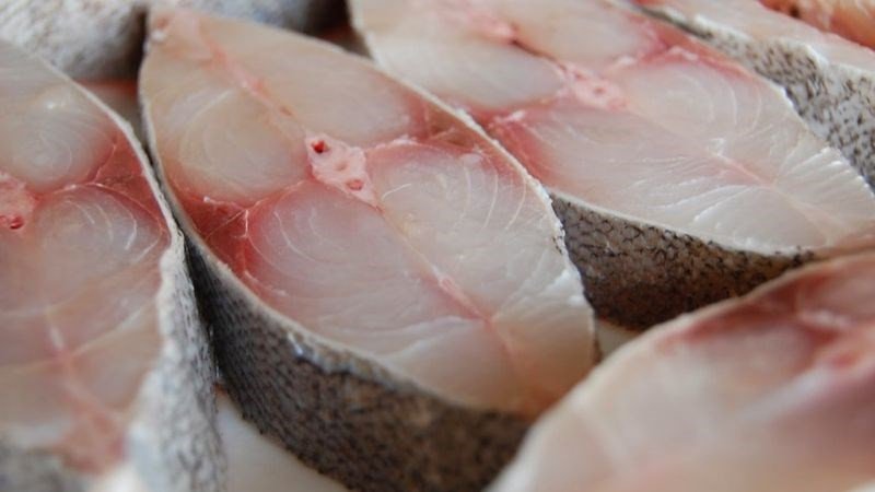 Protein trong cá thu