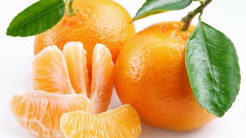 Quả quýt cam mọng nước, minh họa thành phần dinh dưỡng phong phú.