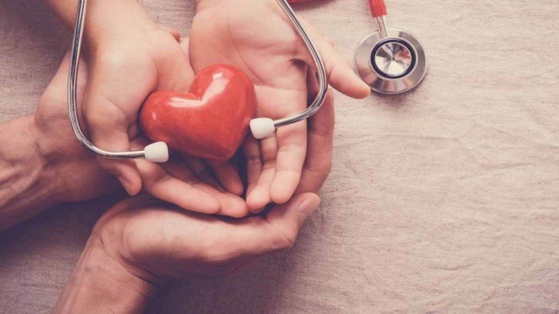 Quả vải chứa nhiều dưỡng chất tốt cho tim mạch và sức khỏe tổng thể