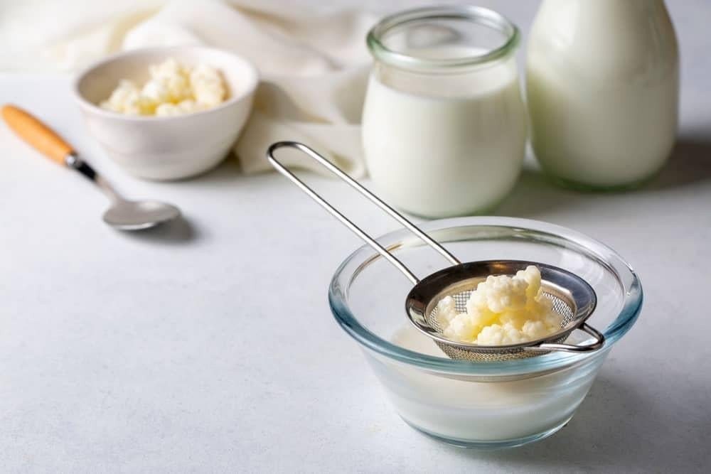 Quy trình làm sữa chua kefir tại nhà đơn giản