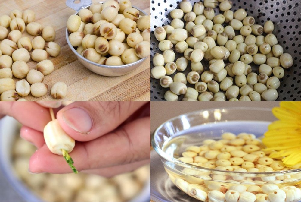 Quy trình sơ chế hạt sen tươi cho xôi cốm