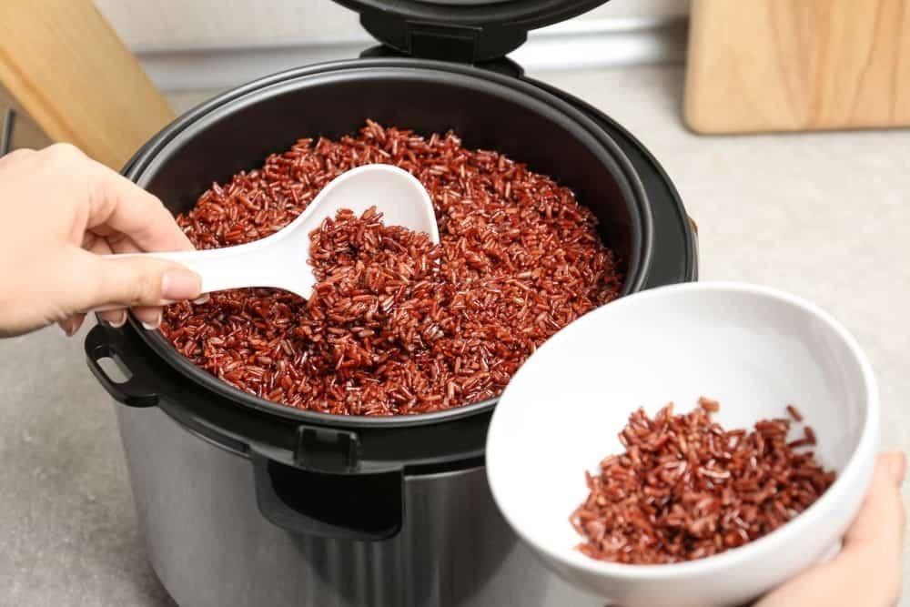 Quy trình thực hiện cách nấu cơm gạo lứt giảm cân bằng nồi điện đơn giản, cho bữa ăn lành mạnh