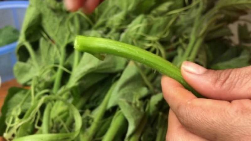 Rau bí đã sơ chế sạch sẽ, sẵn sàng cho việc nấu ăn