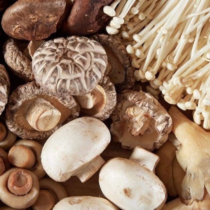 Rau mồng tơi và bầu bào sợi đã được chuẩn bị sạch sẽ