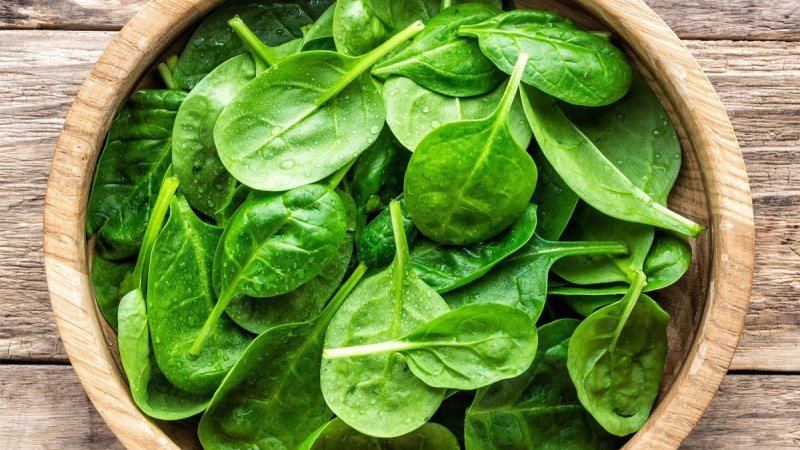 Rau mồng tơi xanh mướt, giàu vitamin