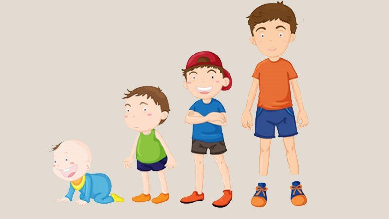 Râu mực thúc đẩy sự phát triển ở trẻ em