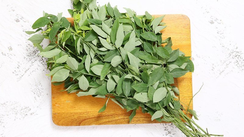 Rau ngót xanh tươi, lá non thường được dùng nấu canh cua đồng