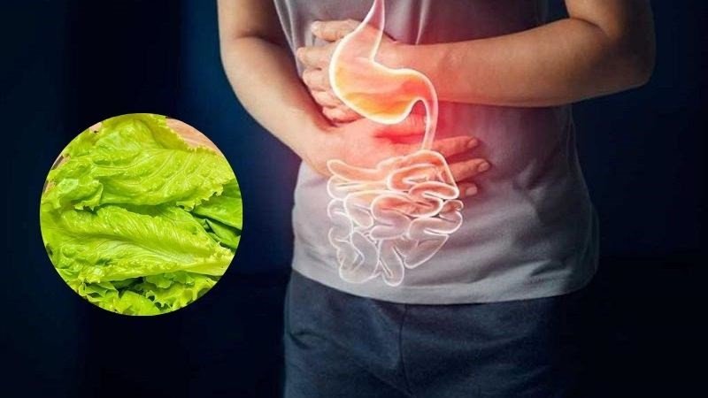 Rau sống giàu chất xơ dễ gây đầy hơi