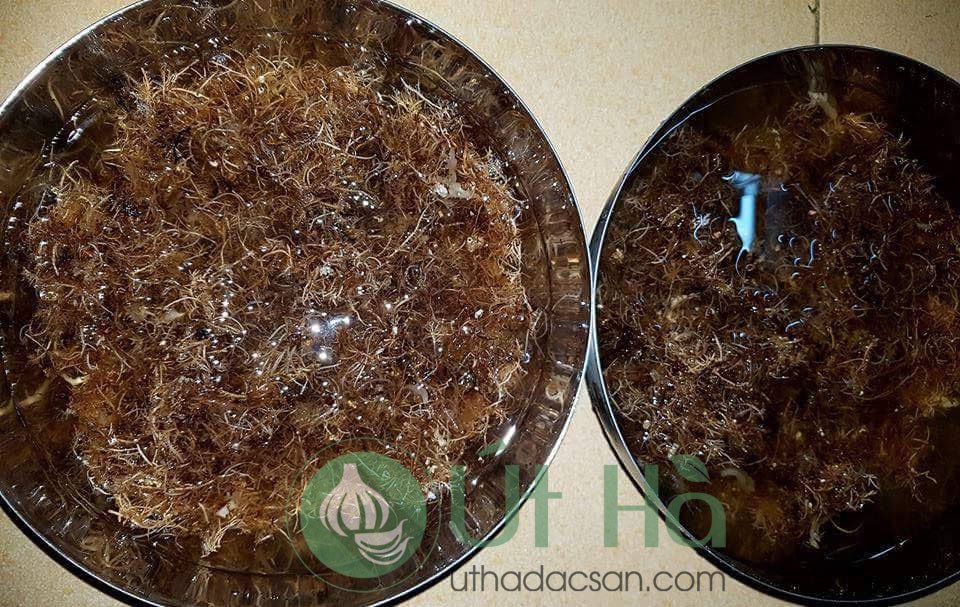 Rau xu xoa đang được ngâm và làm sạch chuẩn bị cho món thạch mát