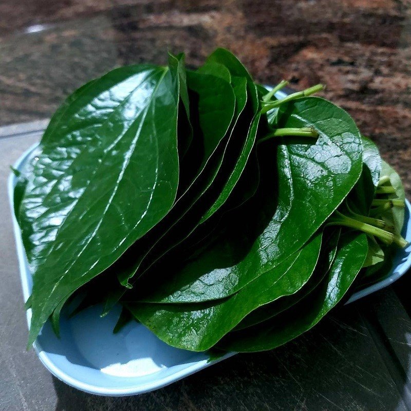 Rửa sạch lá lốt tươi chuẩn bị cho món cuốn