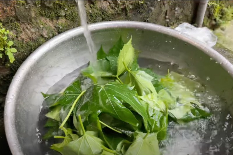 Rửa sạch rau mì chính trước khi chế biến
