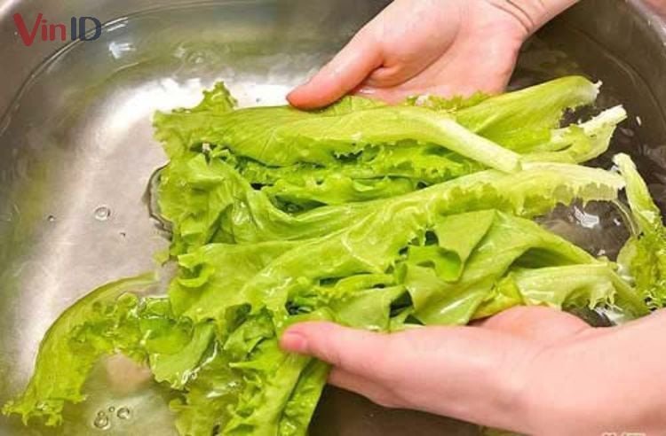 Rửa sạch xà lách và các loại rau thơm ăn kèm