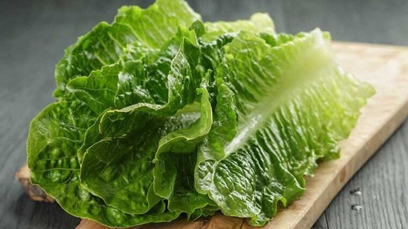 Salad rau xà lách giúp hỗ trợ quá trình giảm cân hiệu quả