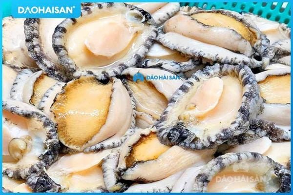 Sơ chế bào ngư sạch sẽ cho món cháo bào ngư