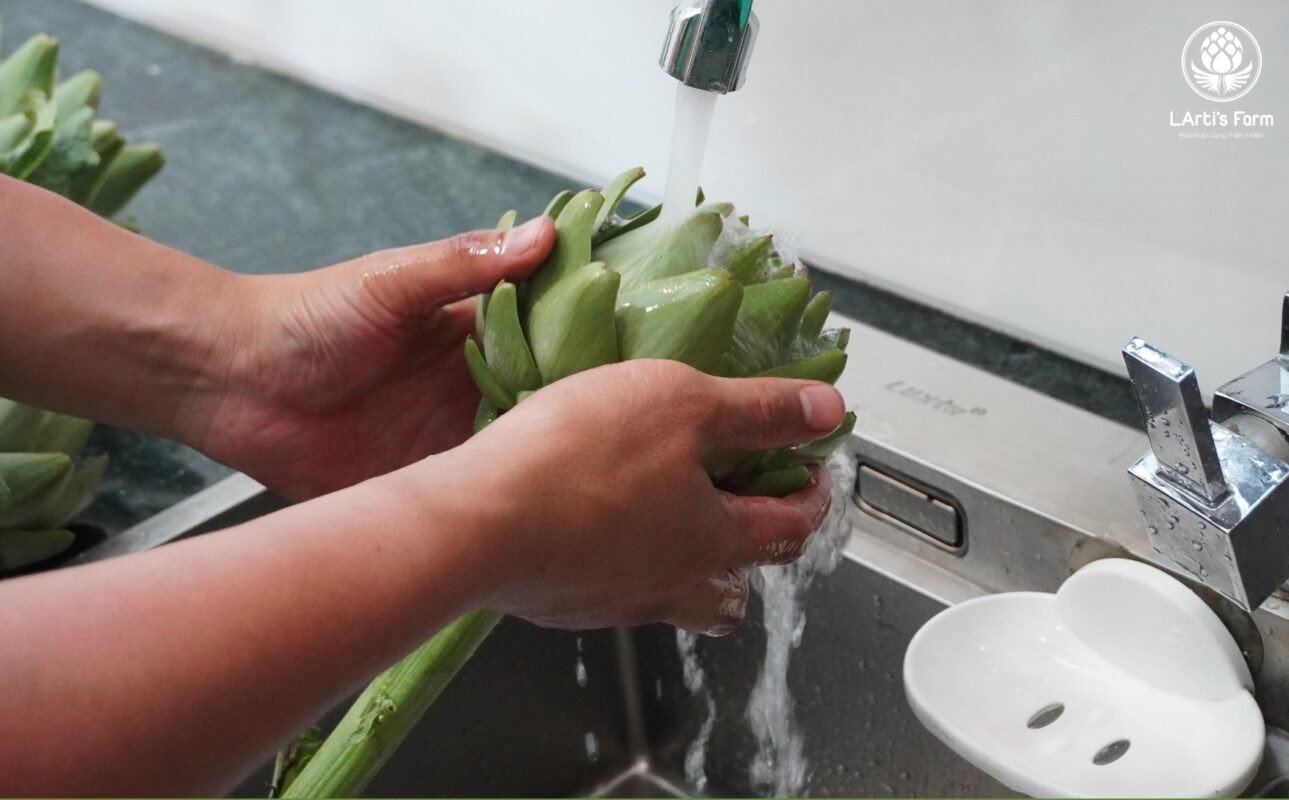 Sơ chế bông atiso sạch