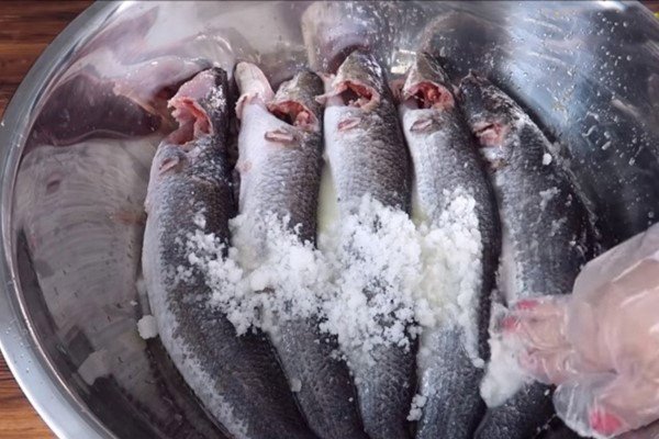 Sơ chế cá lóc với muối giúp làm sạch hiệu quả, hạn chế mùi tanh