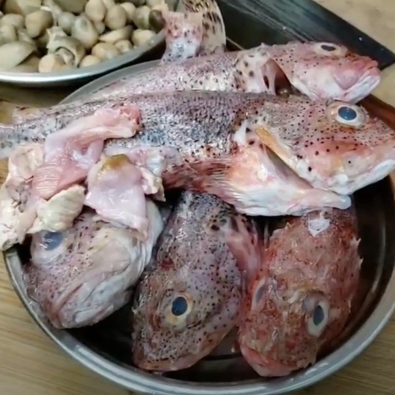 Cách Nấu Cháo Cá Mú Thơm Ngon Bổ Dưỡng Cho Cả Gia Đình Sơ chế cá mú tươi
