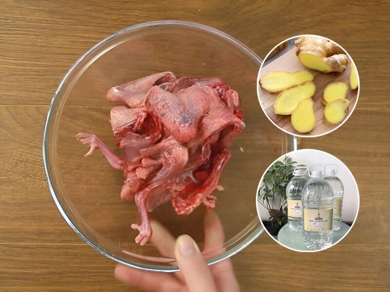 Sơ chế chim bồ câu tươi ngon