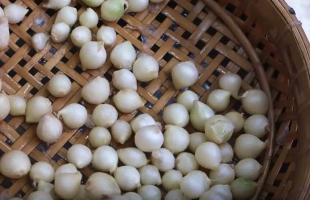 Sơ chế củ nén chuẩn bị cho món mì Quảng
