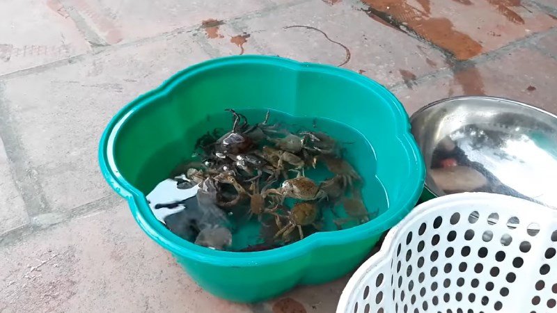 Sơ chế cua đồng bằng cách ngâm nước sạch
