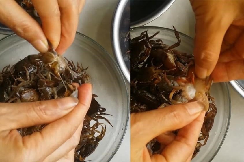 Sơ chế cua đồng để nấu cháo cua đồng cho bé không tanh