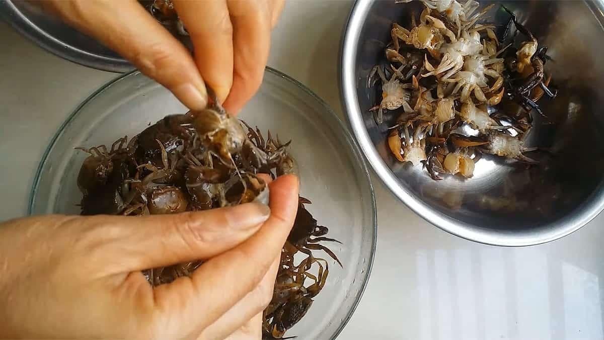 Sơ chế cua đồng tươi sống để nấu cháo cho bé