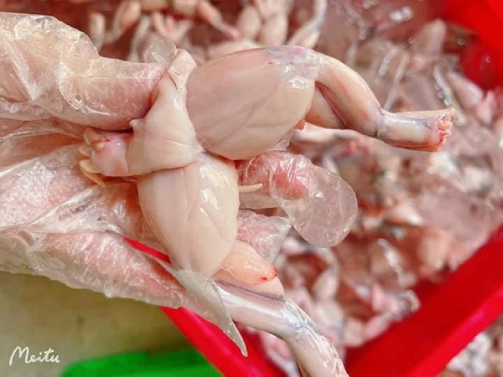 Sơ chế ếch sạch sẽ đảm bảo an toàn khi nấu cho bé