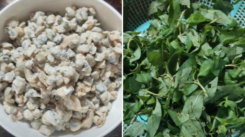 Sơ chế hến và rau răm trước khi xào