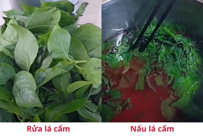 Sơ chế lá cẩm và thu nước cốt màu tím đẹp để làm xôi lá cẩm