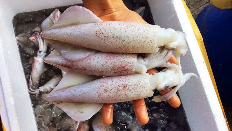 Sơ chế mực ống đúng cách