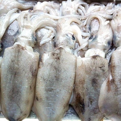Sơ chế mực sạch sẽ giúp món ăn ngon hơn