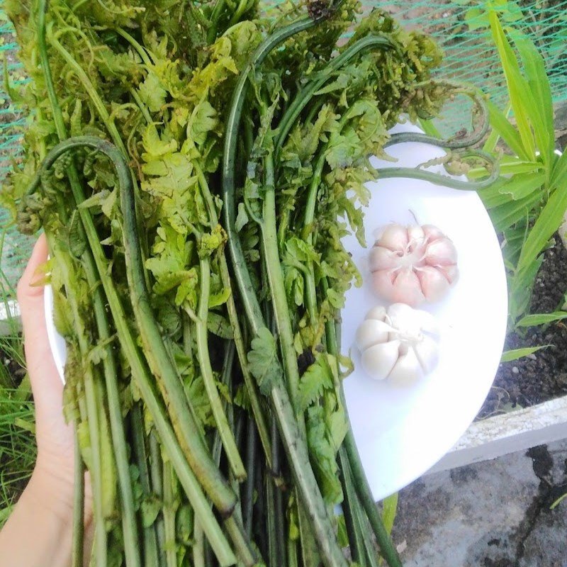 Sơ chế rau dớn sạch sẽ trước khi xào