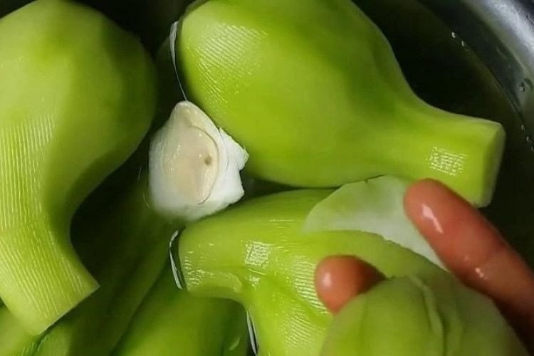 Sơ chế su su bằng cách ngâm nước muối loãng loại bỏ nhựa
