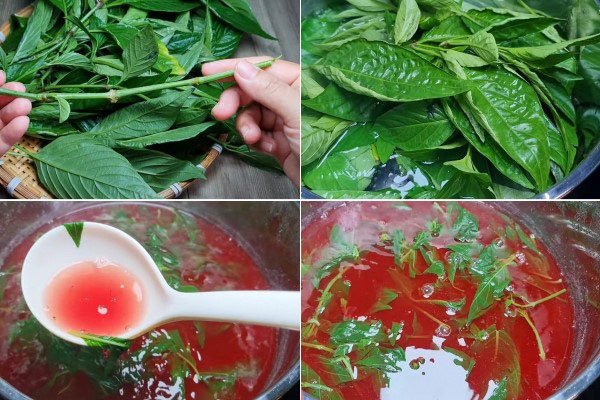 Sơ chế và nấu nước lá cẩm tạo màu cho xôi cẩm tím