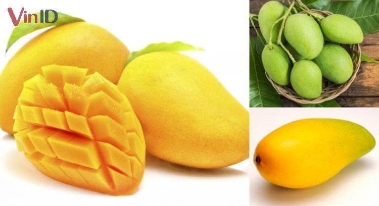 so sánh xoài chín và xoài xanh