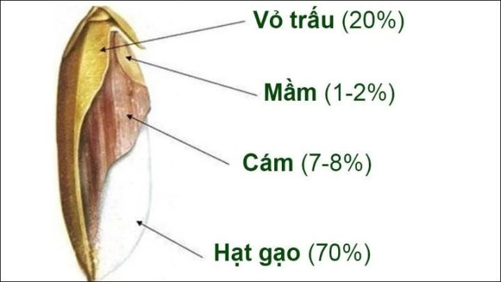 Sợi bún lứt làm từ gạo lứt nguyên cám giàu dinh dưỡng tự nhiên