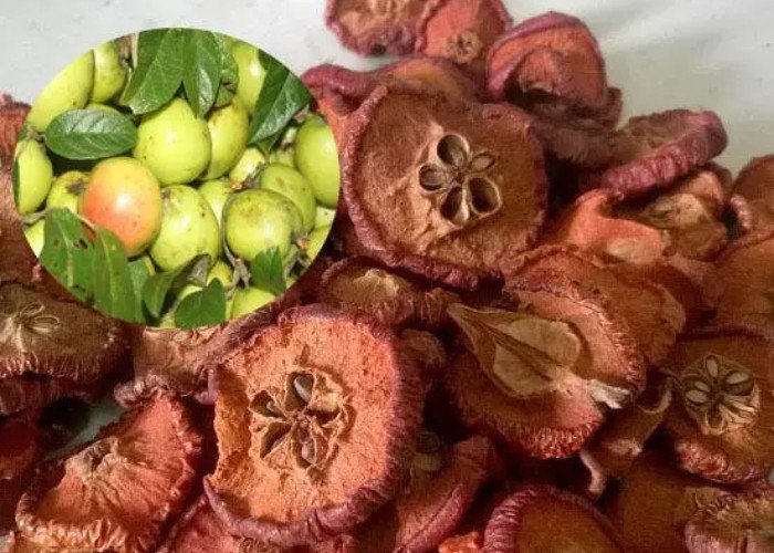 Sơn tra (táo mèo)