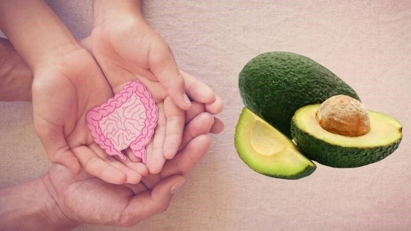 Sốt bơ trứng thúc đẩy sức khỏe đường ruột