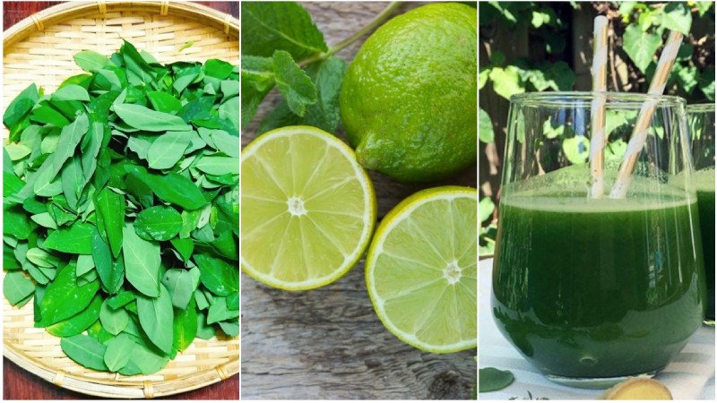 Sự kết hợp giữa chanh và rau ngót sẽ giúp bạn có một cốc sinh tố hấp dẫn hơn